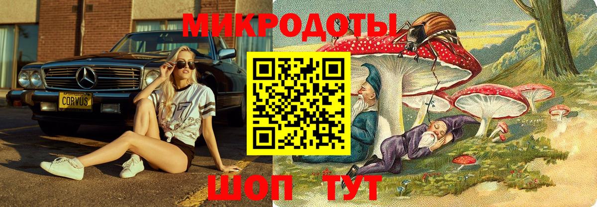 Псилоцибиновые грибы мухоморы  Вход с VPN  Кинель 