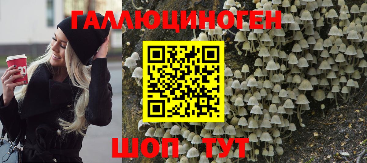 Псилоцибиновые грибы мухоморы Кинель